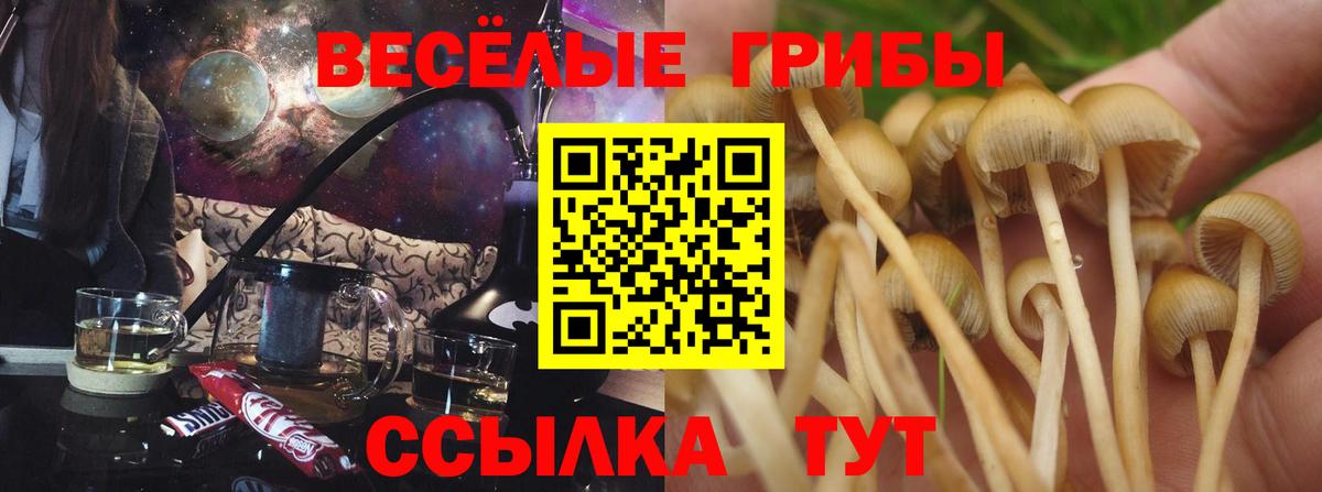 закладка  Вход с VPN  Торжок  Галлюциногенные грибы MAGIC MUSHROOMS 